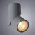 Накладной точечный светильник Arte Lamp (Италия) арт. A7717PL-1GY